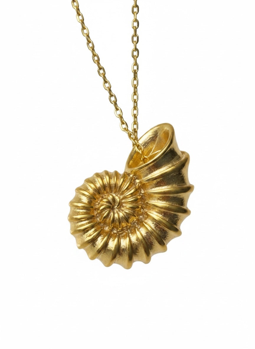 Aleni Shell Necklace
